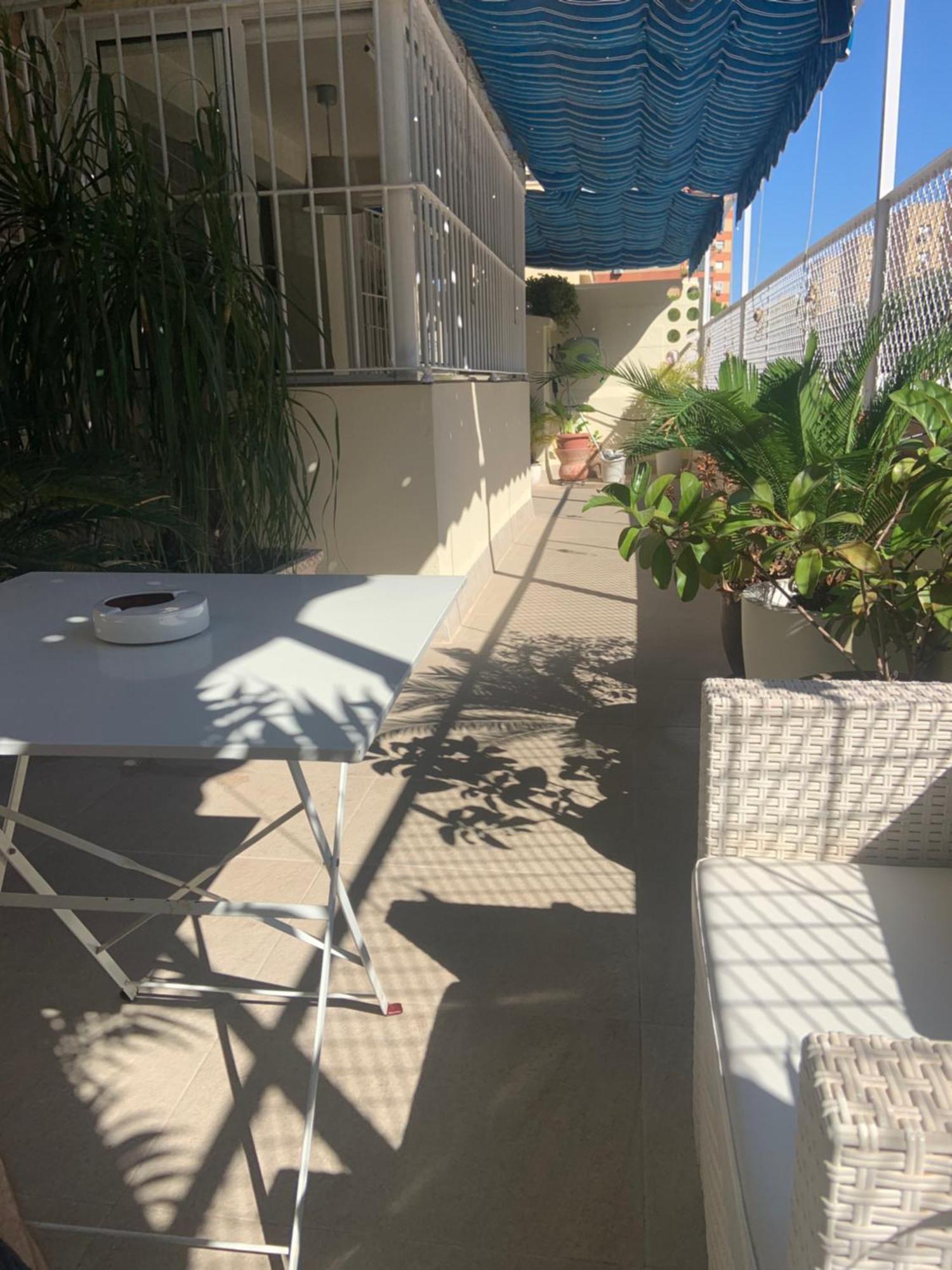 Apartamento Jardin Cerca Del Centro Севилья Экстерьер фото